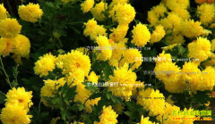 �������������������־ջ�Ķ��Ч��2��Ԫ