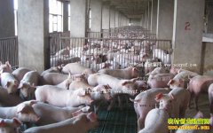 ����ʡ������ֳ��������Щ��