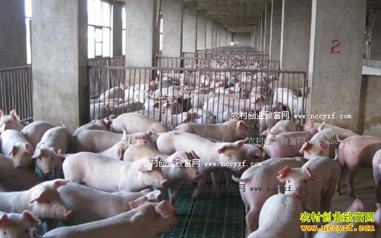 ����ʡ������ֳ��������Щ��