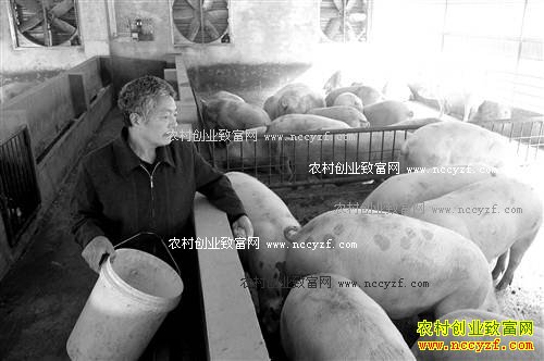 �����ɽ������¥����������Ч���