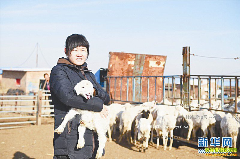 ���ɹź��ͺ��ش�ѧ����������ҵ�¸�