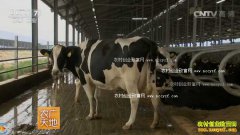 [ũ�����]��ţ�������Դ������(��)