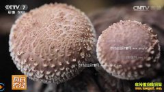 [ÿ��ũ��]�㹽�����������˺ü�Ǯ