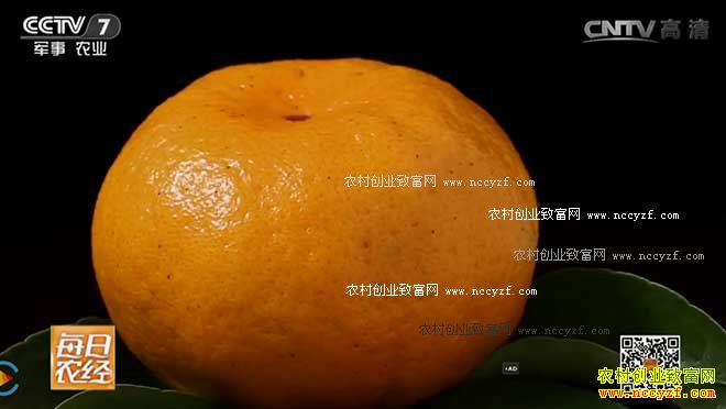 [ÿ��ũ��]�����ո��Ǹ������ˡ� 20161202