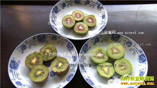 [�¸���]������˳�غ��ݸ���ֲ⨺��ҳ��¸�����