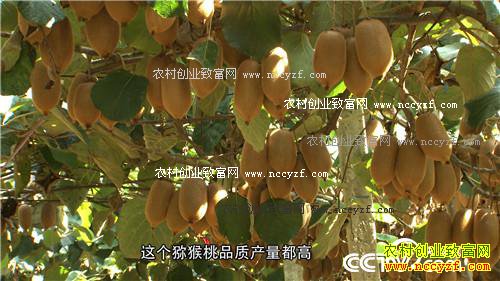 [�¸���]�Ӳ�����ҵ���¸�����20161208