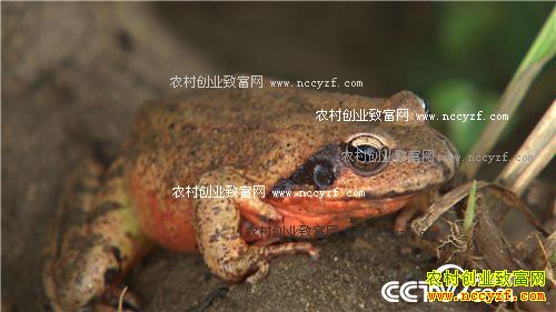 ������󡡱��ɽ�Գ�ǧ���