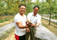 ɽ��۰��֣�쳿���������1Ķ������1��Ԫ