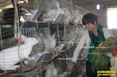 ����Ǳɽ��ѧ��Ů�����ϴ�����ô�ҵ�¸�