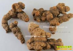 ���²����۸����飺��Դƫ�������۸��߸�