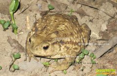 �㽭���������µ��¸�����ӣ�����������߲�