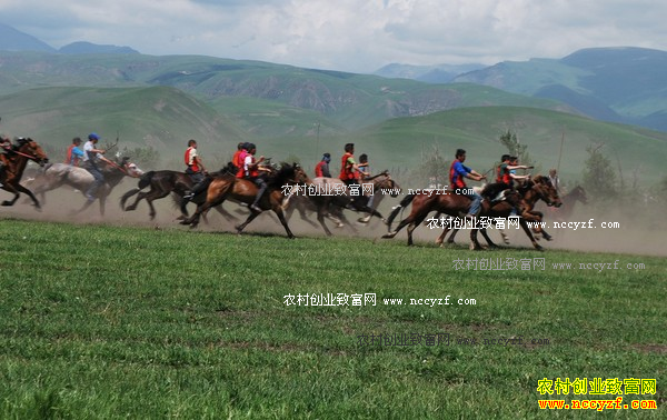 �ӱ�������������ֳ���� ƥƥ�������߼�