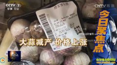 [�۽���ũ]����۸�������� ����۸�Ե�θ�λ�ǻ�