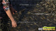 [�¸���]�������ݸ���Ů������ֳ̨�����������800��Ԫ