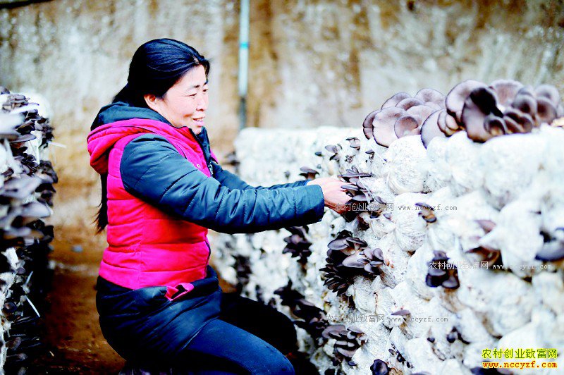 �ӱ����أ�����ʱ�ڴ�����Ģ���������1.5��Ԫ