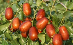 �½�ʯ����90��С�����ĳ��ú����̿���ҵ·