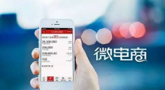 �ӱ�����������΢��������