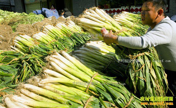 ��м۸�����Ԥ�⣺��м۸����µ� �����ů������