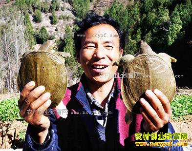 ����ʮ����Ϫ������ϯ�Ĵ�����ֳ�������ֵ120��Ԫ