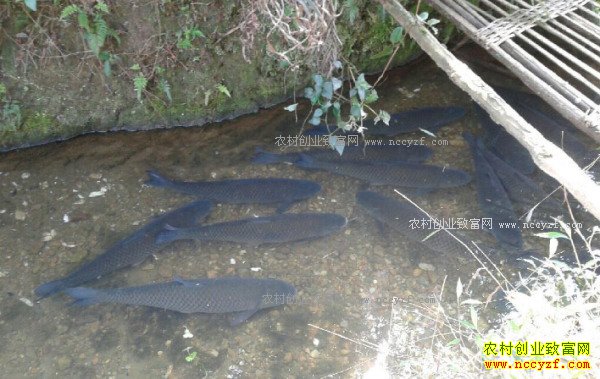 �����������պ�ƽȪˮ����������5���Ԫ