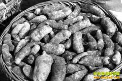 ���������ų�����ֲ��������ũ���¸�