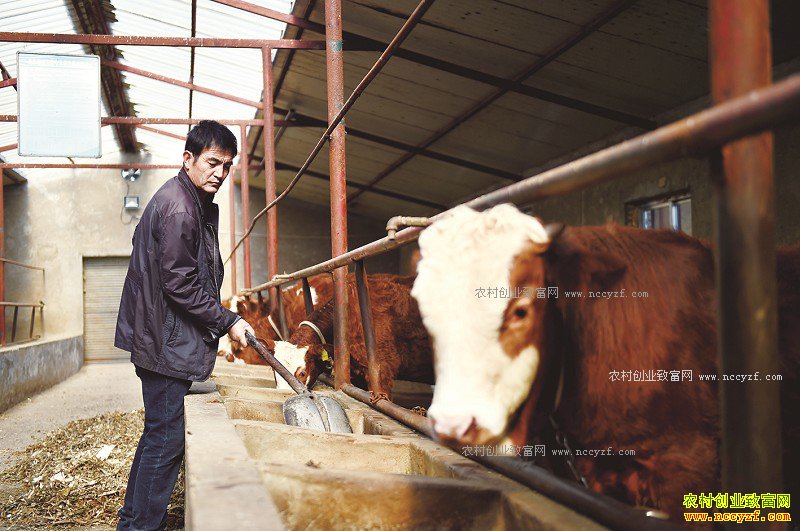 ���Ĺ�ԭ��������ֳ��ţ�ҵ��¸�·