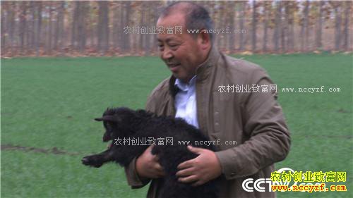 û�˸ҳԵ����� һ���������300��(2016.12.19 )