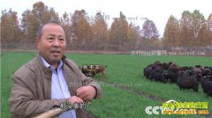 [�¸���]ɽ���ŷ���������ƺ��ֳ�ڹ���һ������300��