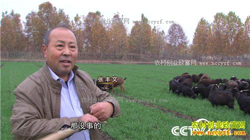 [�¸���]û�˸ҳԵ����� һ���������300�� 20161219