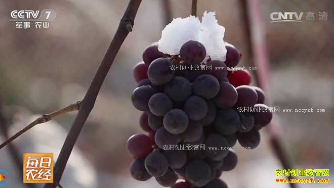 [ÿ��ũ��]������ҹ��ժ������