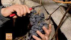 [ÿ��ũ��]�������غ�����ҹ��ժ�ı��������۸�