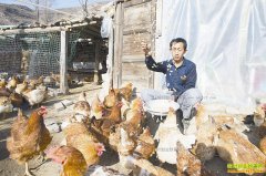 ɽ��������ѦϲȨ���·�����������ʮ����