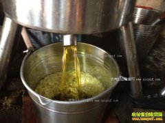 �ӱ���ͤ���������ֻ����ӹ�������Ч���