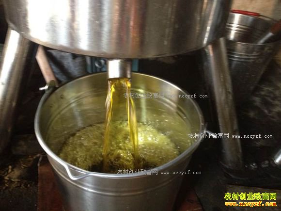 �ӱ���ͤ���������ֻ����ӹ�������Ч���