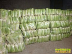 �ӱ���ͤ������ɽ�Ѳش�ײ�20Ķ������3��Ԫ