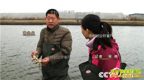 �¸������з���� ƾɶ3���¾�׬500����Ԫ 12��20��