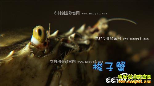 �¸������з���� ƾɶ3���¾�׬500����Ԫ 12��20��