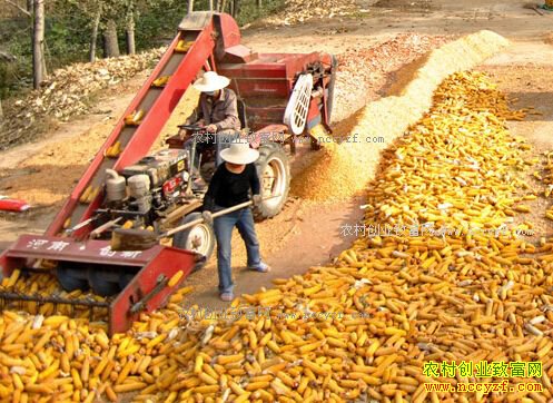 �ӱ���������°���������Ҳ��Ǯ