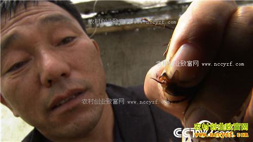 ɱ�˷������ǧ��Ƹ�(��) (2016.12.21)