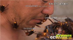 [�¸���]��������ƹ�����ֳ�������ǧ��Ƹ����ϣ�