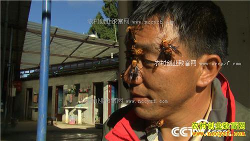 ɱ�˷������ǧ��Ƹ�(��)(2016.12.22)