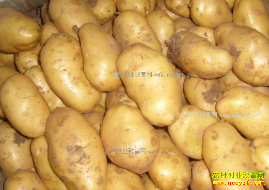 ���������۸����飺������������һ������