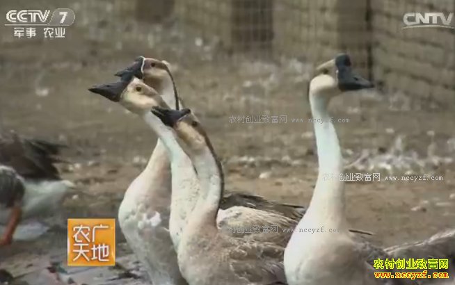 [ũ�����]���ֻҶ���ֳ���� 20161221