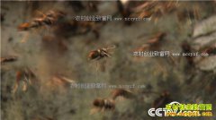 [�¸���]��������ƹ�����ֳ�������ǧ��Ƹ����£�