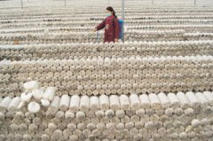 ɽ�����ȣ�����ո���Ģ����ũ���¸�����Ŀ