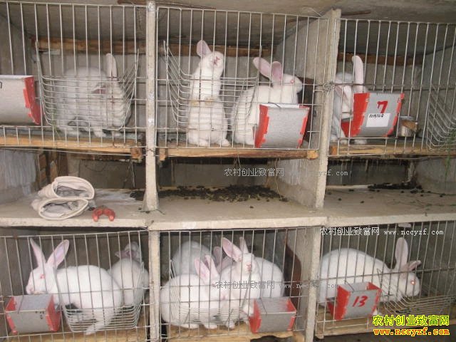 ̡���г�����ԡ�ɽ�����������Ƽ�����Ч���