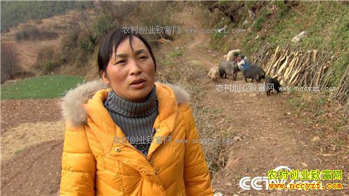 �¸����������һ�� һ������2000�� 12��23��