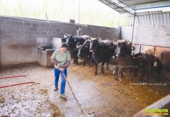 ������������ţ��ũ���¸�����Ŀ