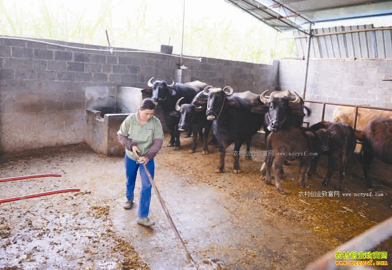 ������������ţ��ũ���¸�����Ŀ