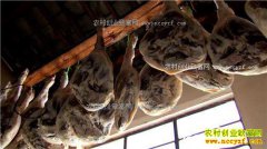 [�¸���]�����䶨�����Ҽӹ����ȼ�ʳ׳��������ǧ��